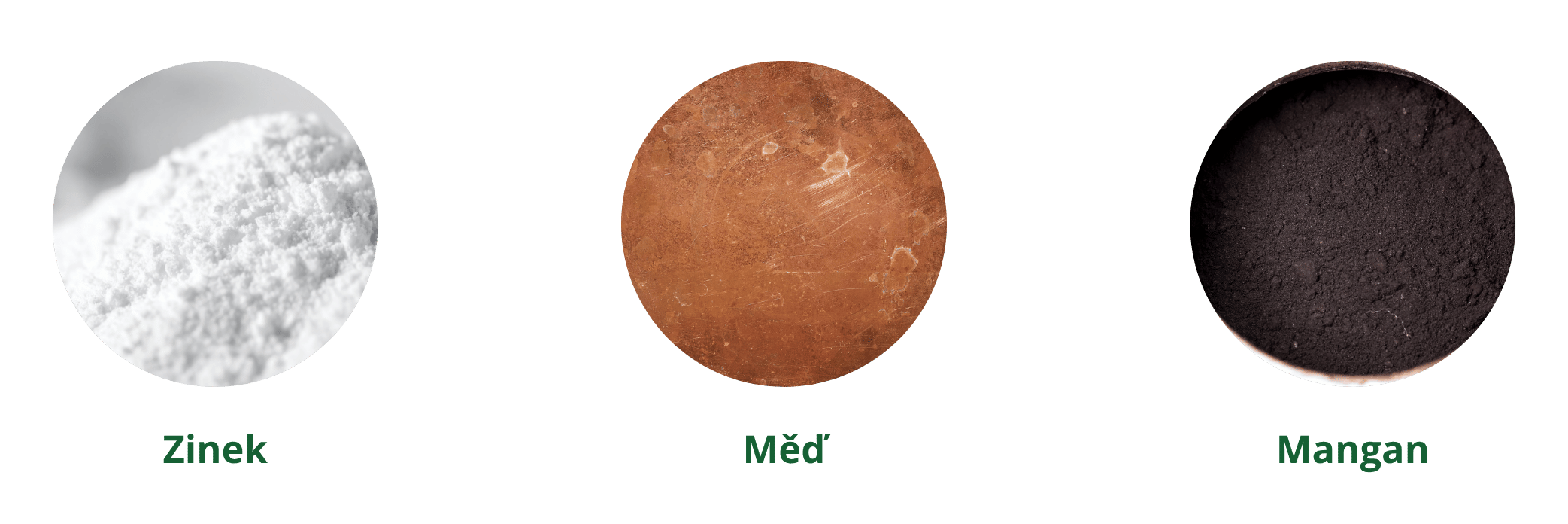 slozeni-marine-kolagen-2